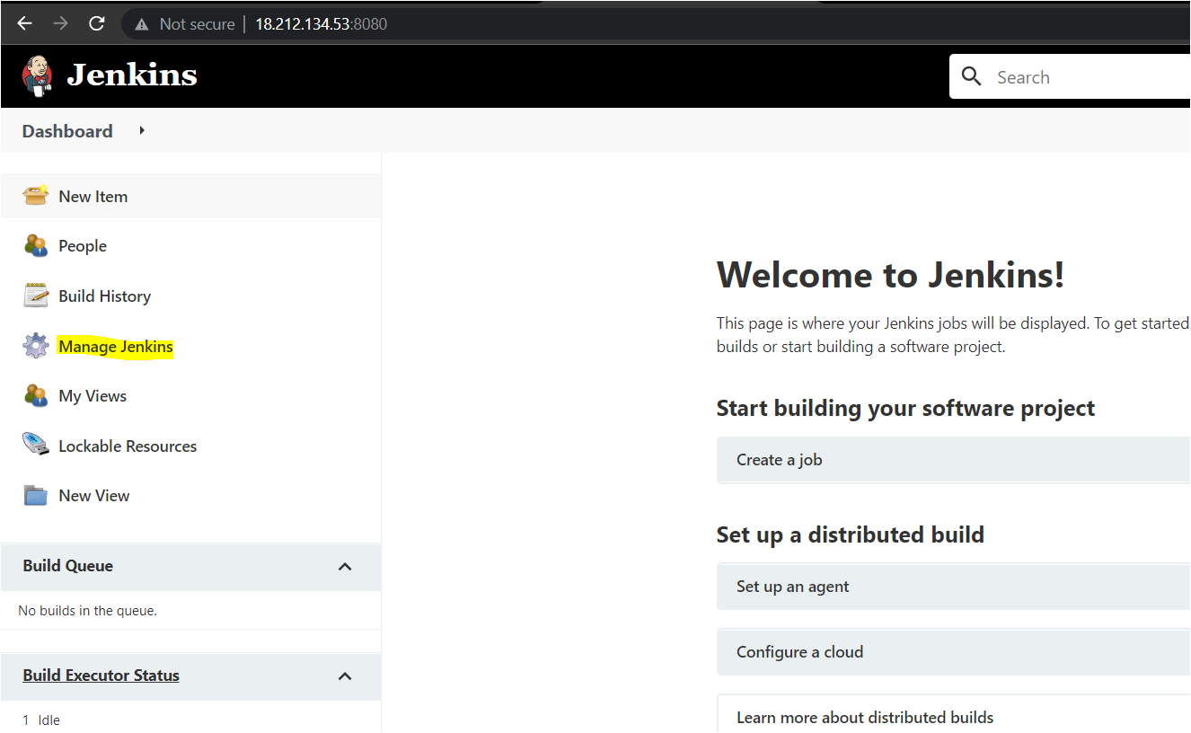 Opening the Jenkins URL on the Web Browser