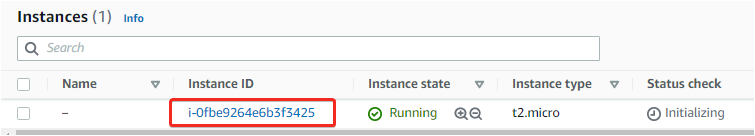 Verifying the AWS EC2 Instance on AWS Account