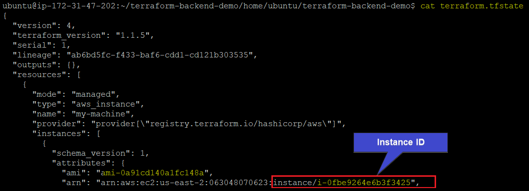 Verifying Instance ID in State File