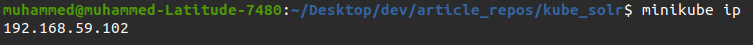 Displaying Minikube IP Address