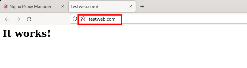 Accessing the Webserver via the Proxy