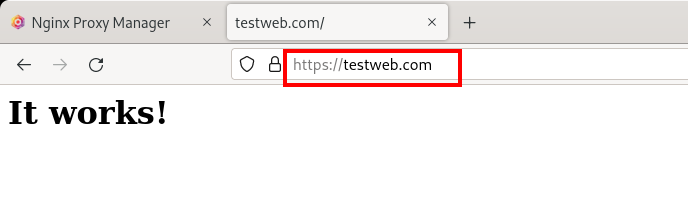 Testing HTTPS access with a browser