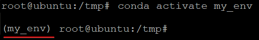 Activating New Environment (my_env)