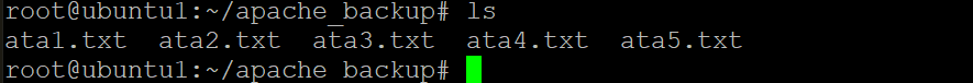 Verifying Transferred Files on the Receiving Host