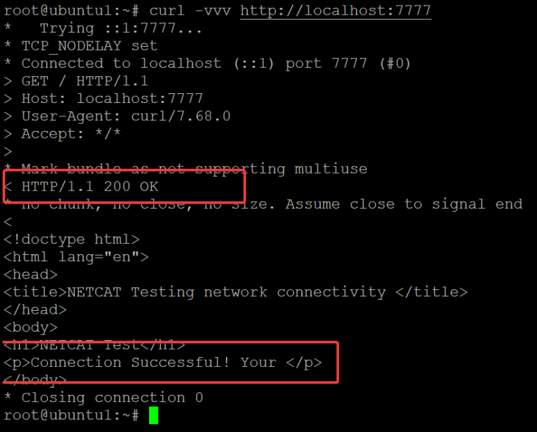 http post netcat