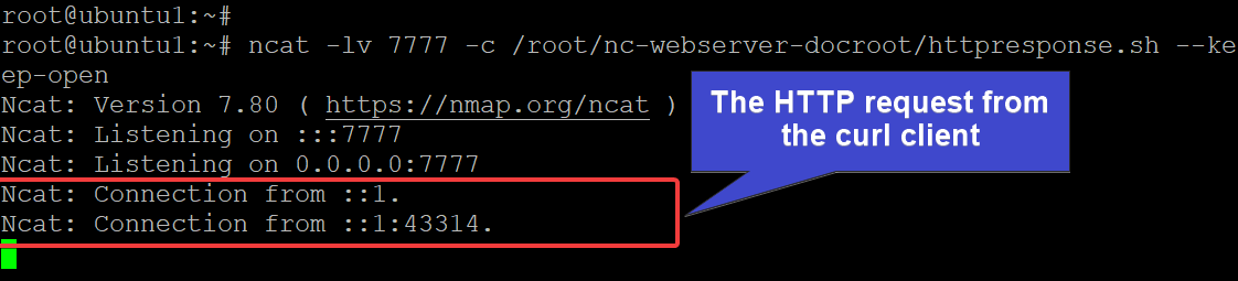 Verifying the HTTP Request from the curl Client