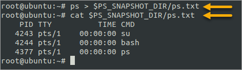 Referencing Ubuntu environment variables