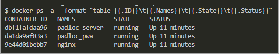 Checking Docker container status