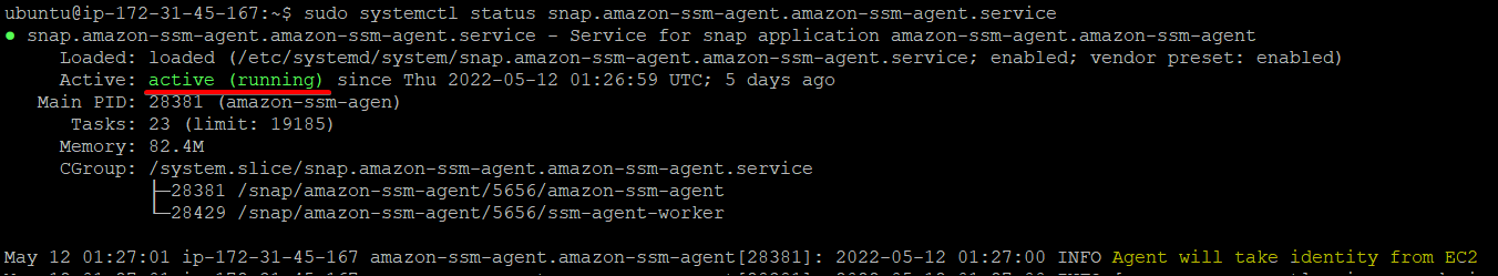 Checking the Status of the AWS SSM Agent