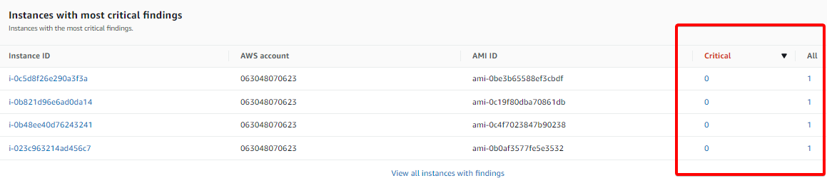 Viewing Critical Vulnerabilities in AWS Inspector for AWS EC2 Instance