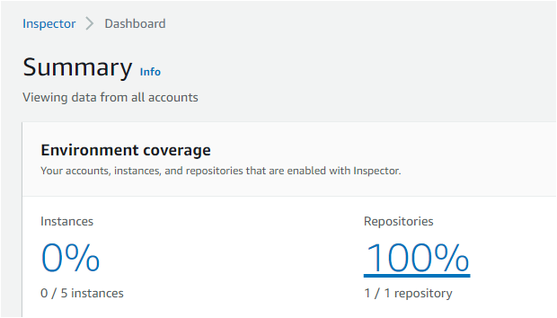 Viewing the Repository Being Scanned by AWS Inspector