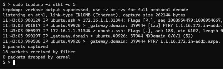 Capturing packets on a specific interface