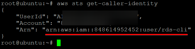 Verify AWS CLI Can Assume the IAM Role