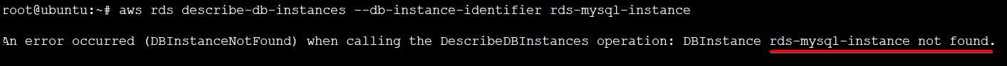 Verifying Deleted DB Instance