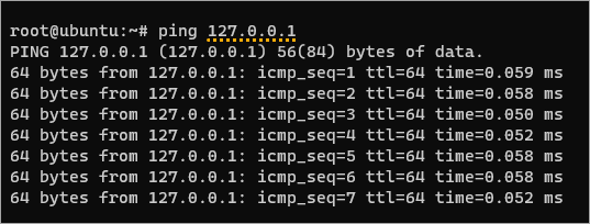 Pinging the loopback address (127.0.0.1)