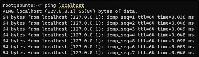 pinging loopback address