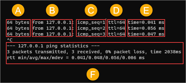 Ping command output