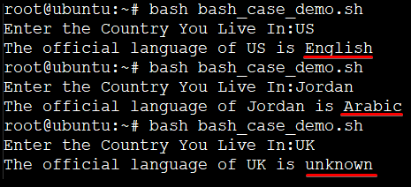 Running the bash_case_demo.sh Script