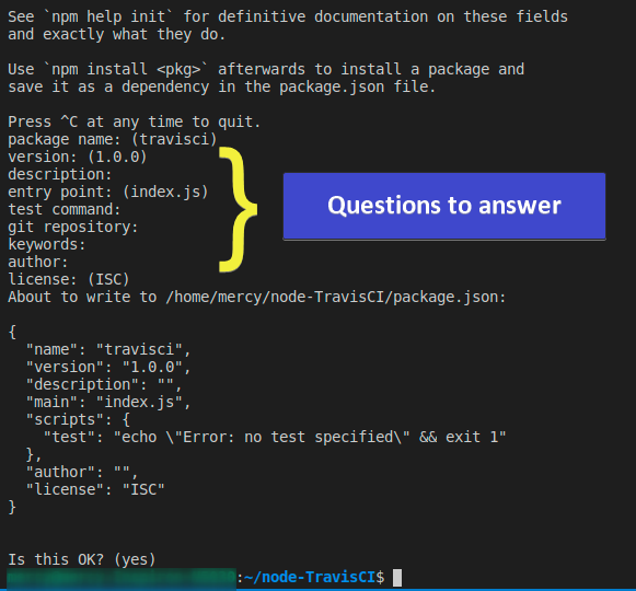 Verifying the successful creation of the package.json file