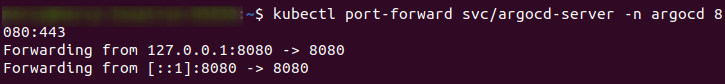 Accessing the ArgoCD Server on Port 8080