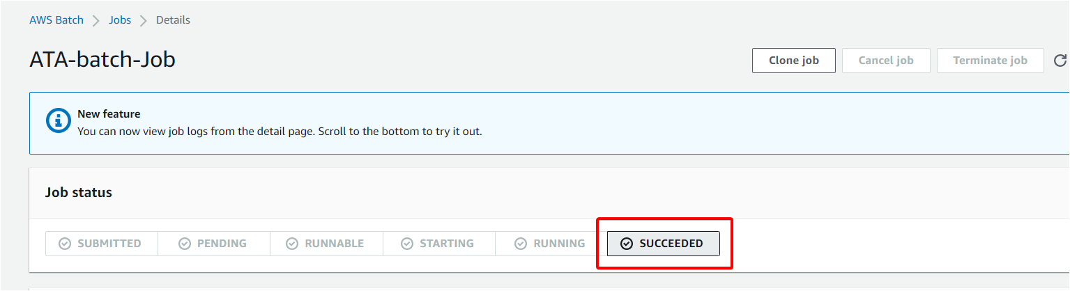 Checking the status of the AWS Batch job