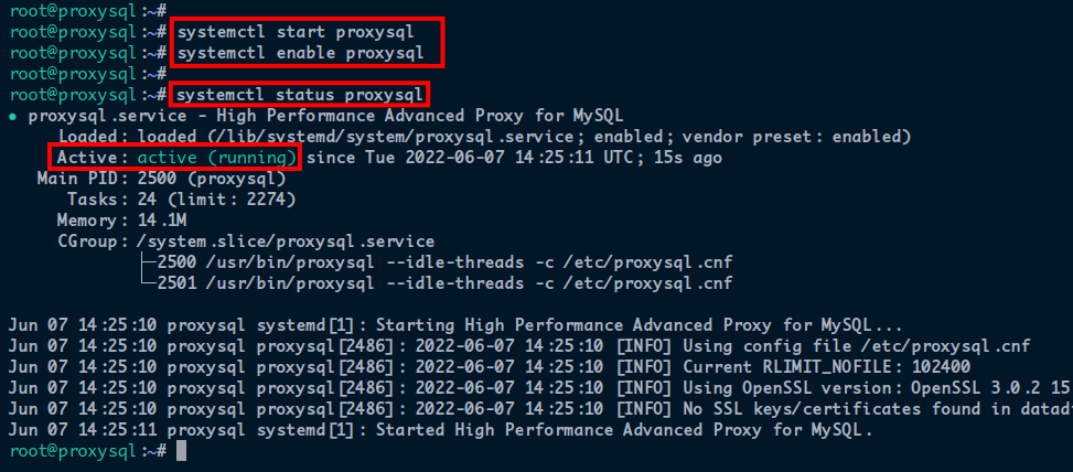 Checking the ProxySQL service status