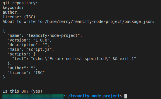 Initializing a package.json file