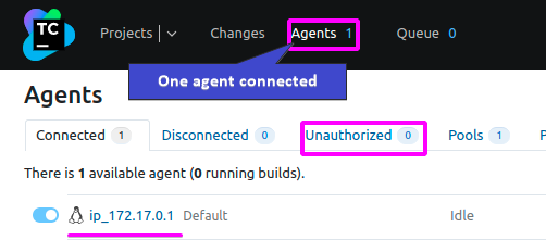 Viewing connected agents