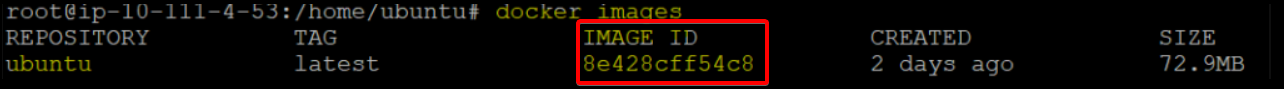 Verifying the Docker images on the Docker host