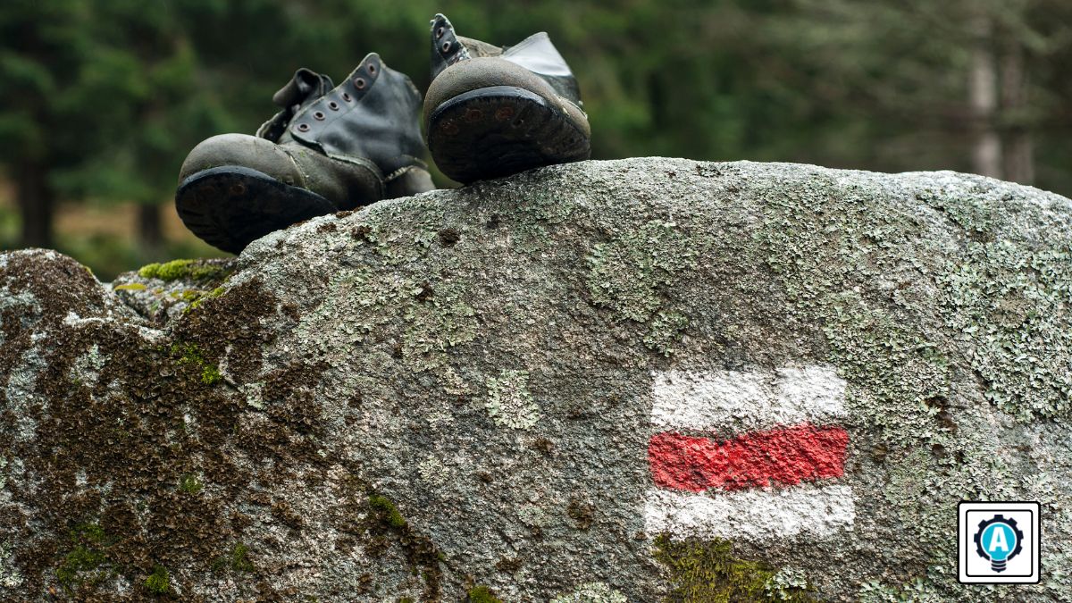 Are you a Digital Employee Experience trailblazer?