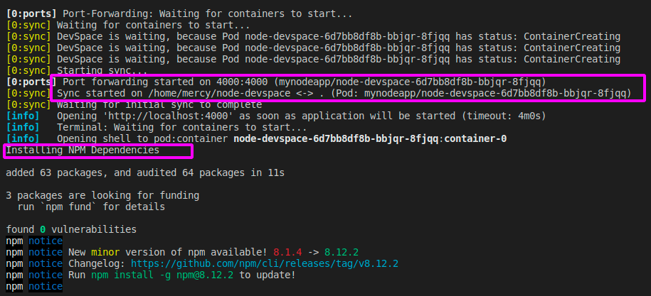 Verifying DevSpace port-forwarding and dependency installation in the container