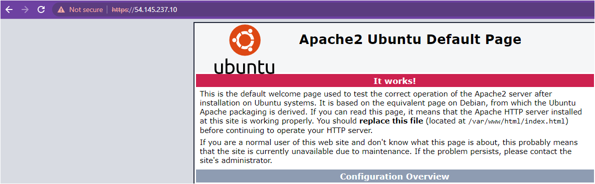 Verifying secure Apache server access