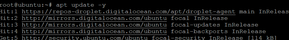 Linux Port Scan : Updating the System Package Index