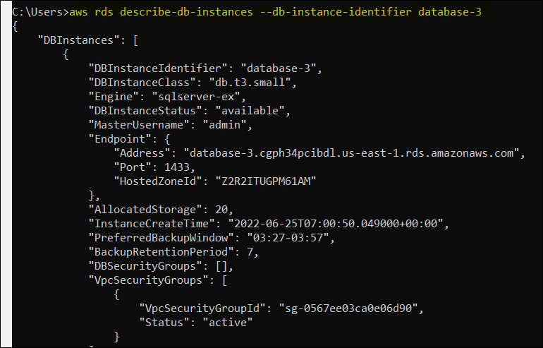 Describing the AWS RDS using the Terraform IAM role