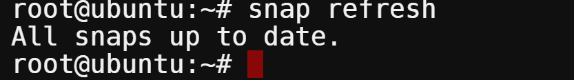 Updating the Snap package list