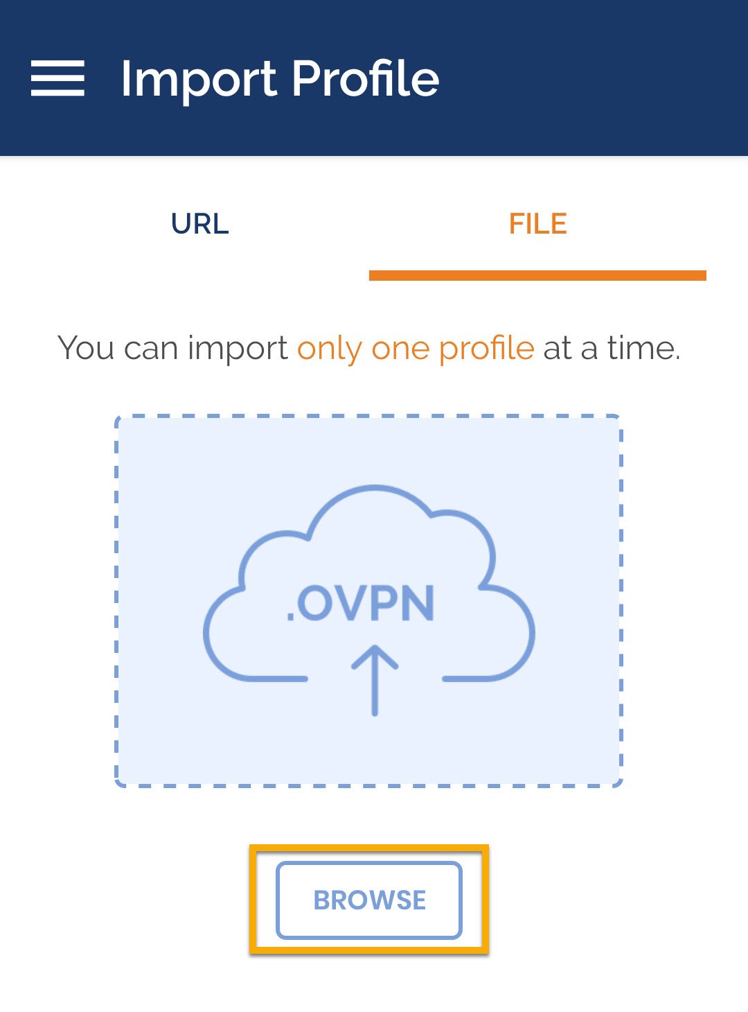 Importing the .ovpn file to the OpenVPN Connect client