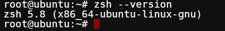 Checking the Zsh version installed