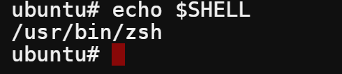Verifying Zsh is now the new default shell