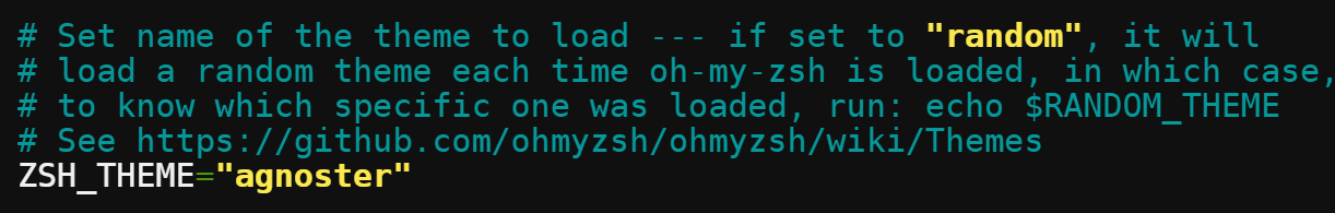 Setting specific Oh My Zsh theme