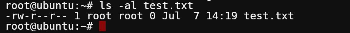 Listing the new test.txt file