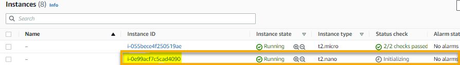 Verifying the AWS EC2 instance in the AWS Management Console