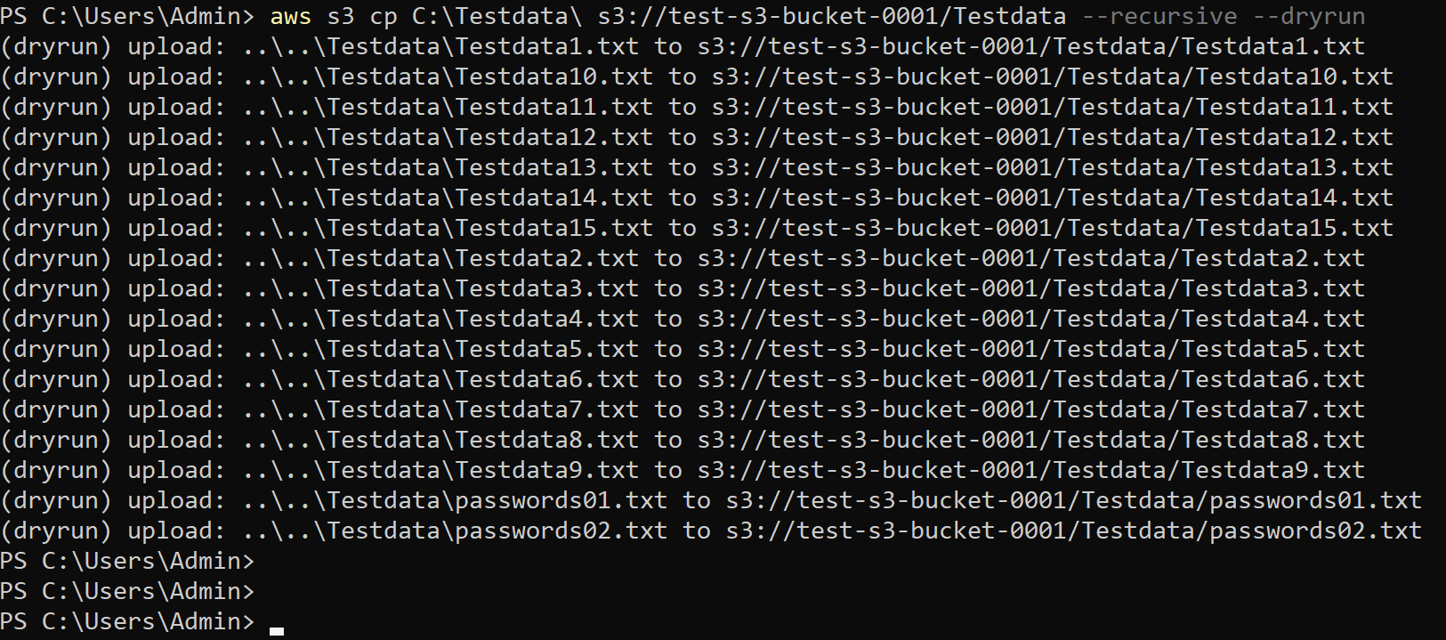 Performing a dry run of copying local files to an S3 bucket