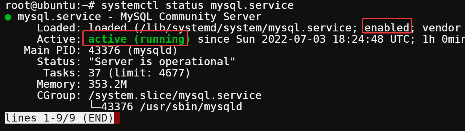Verifying that the MySQL service is running