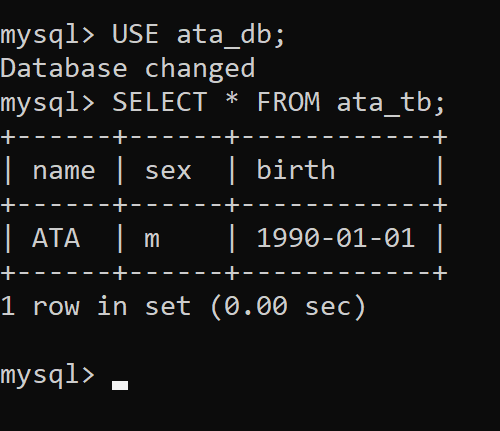 Verifying data from the ata_tb table