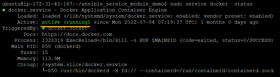 Verifying the Docker service status