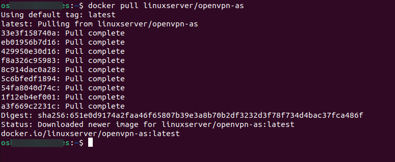 Downloading OpenVPN Access Server Docker container