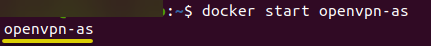 Starting the OpenVPN access server Docker container