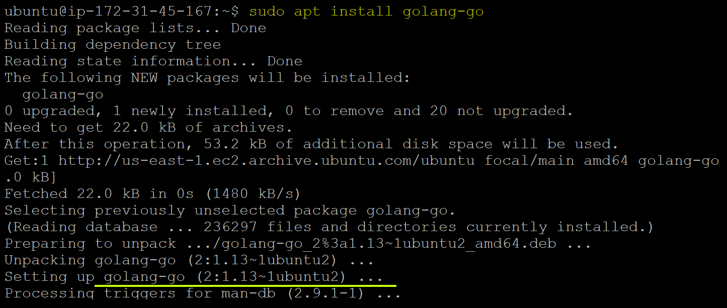 Installing the go software