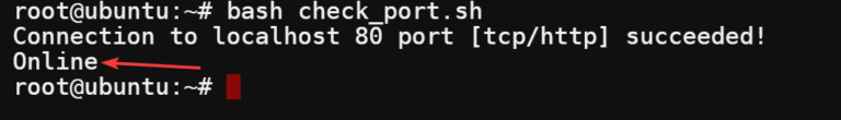 All the Ways to Check If a Port is Open in Linux