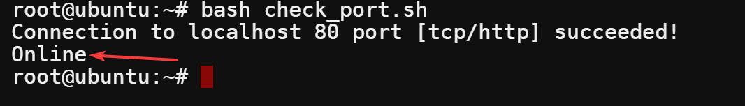 Check if the 80 port is open